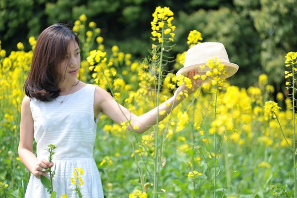 油菜籽
