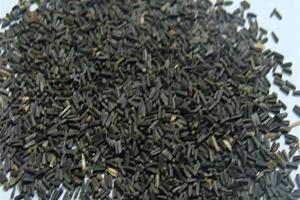 黑心菊什么時候播種,播種到開花多久