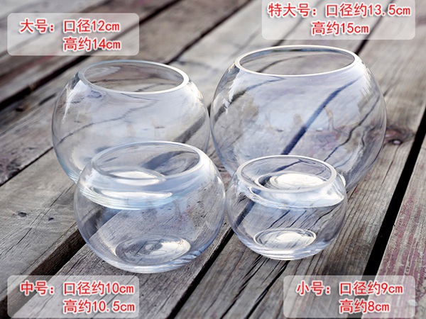 如何在玻璃瓶中種植郁金香