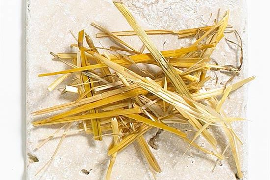 養花覆蓋物有哪些，有什么好處？