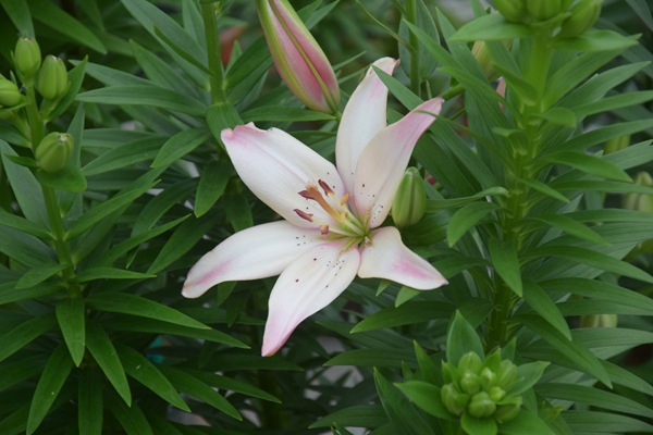 舒適的華爾茲