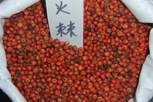 火棘種子什么時候播種以及播種方法