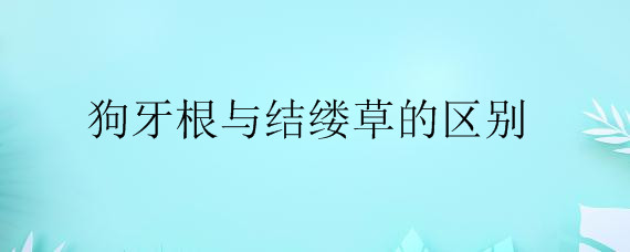 狗牙根與結縷草的區別是什么？