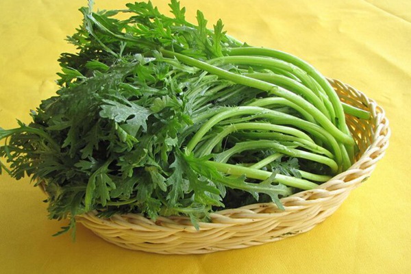 茼蒿什么時間種植比較合適，對溫度有什么要求
