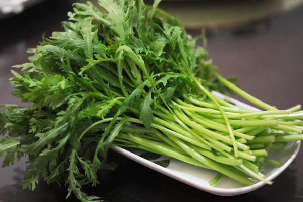茼蒿什么時間種植比較合適，對溫度有什么要求
