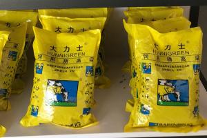 [大力士甜高粱]大力士甜高粱種子圖片_批發價格